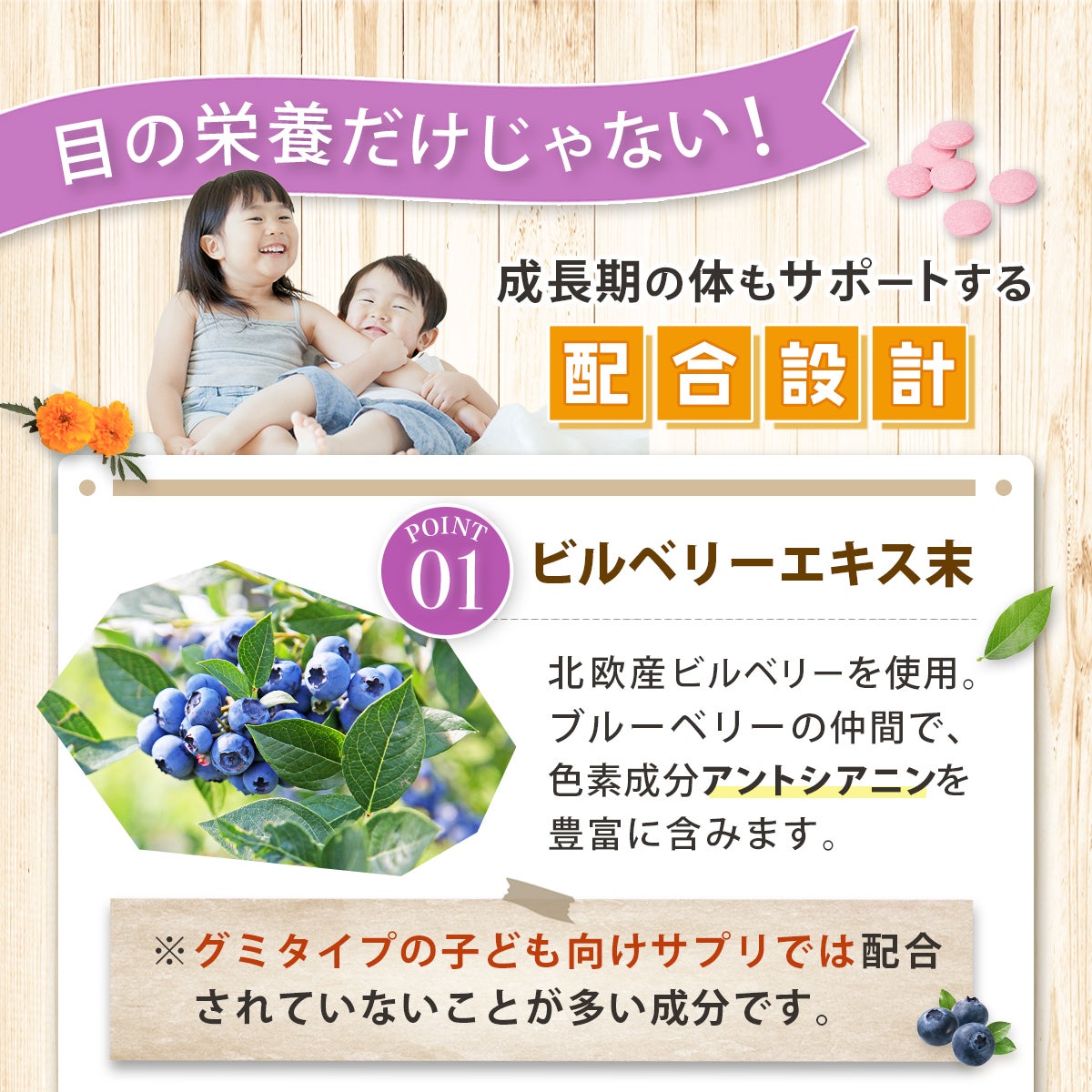 ブルーベリー サプリメント 眼育（めいく）サプリ 子供 近視 視力