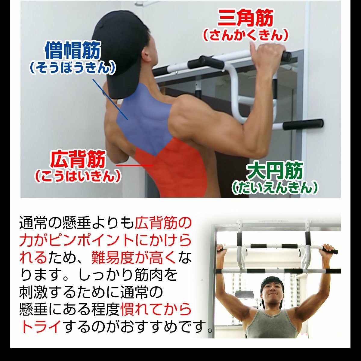 懸垂 自宅 ドア どこでもマッチョ PRO2 チンニング 鉄棒 ぶら下がり
