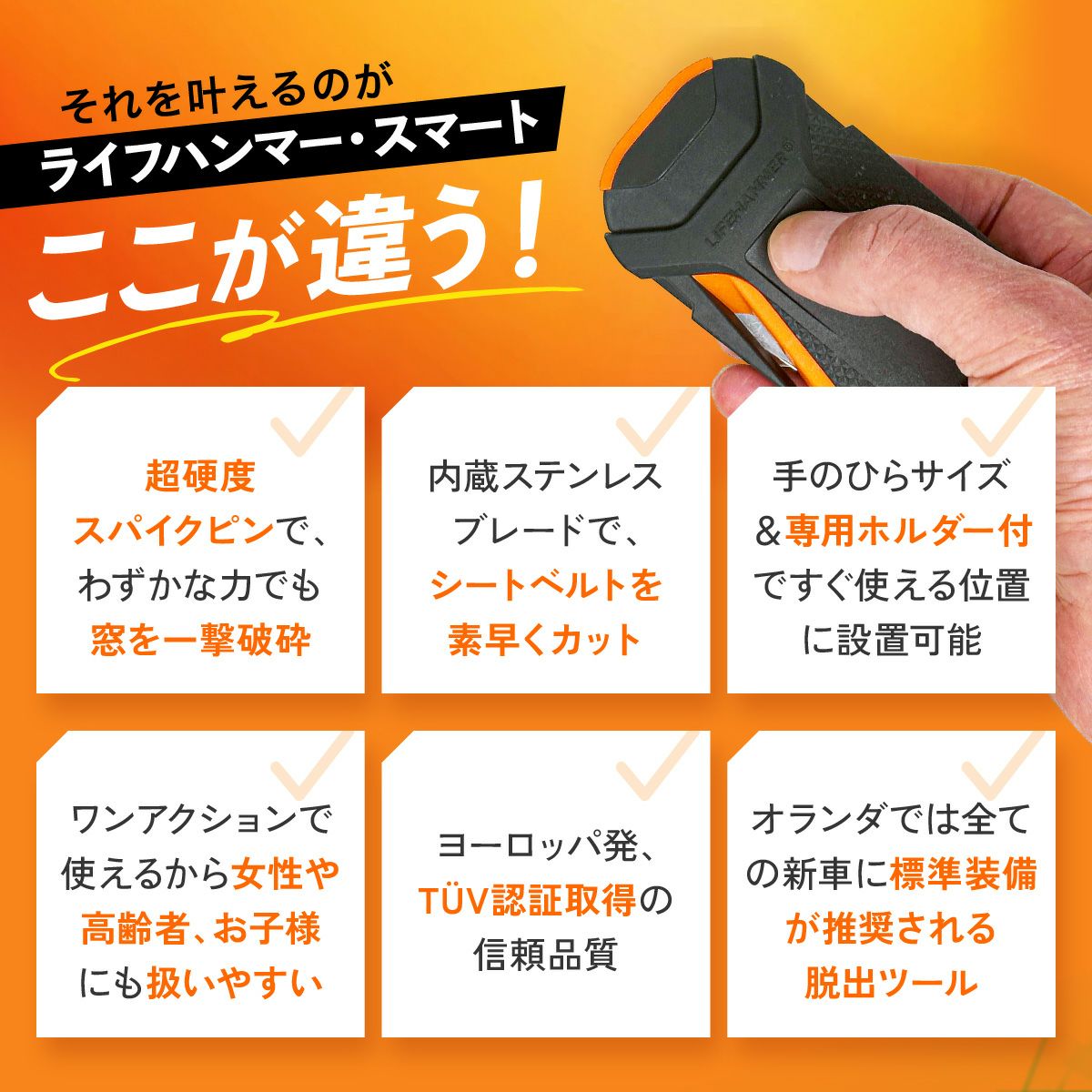 000000000041-11.jpg?size=l&w=